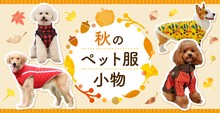 秋のペット服・小物