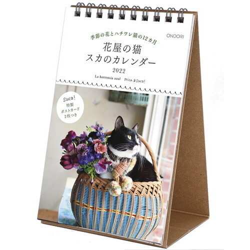 Mica 2022 Calendar Calendar Flower Shop Cat 2022 Calendar Table-Top C2 | Import Japanese  Products At Wholesale Prices - Super Delivery