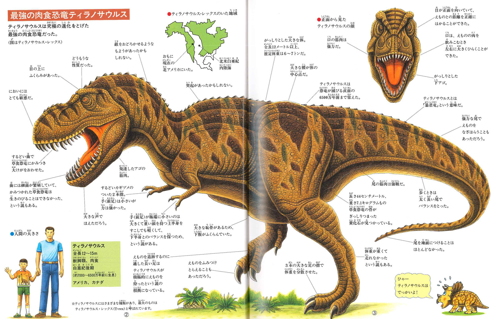 恐竜ティラノサウルス大図解の商品ページ 卸 仕入れサイト スーパーデリバリー