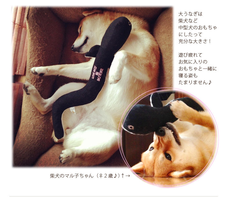 犬のおもちゃ 大うなぎ ペットトイ おもちゃ 犬 ペット オオウナギ ウナギ 魚の商品ページ 卸 仕入れサイト スーパーデリバリー