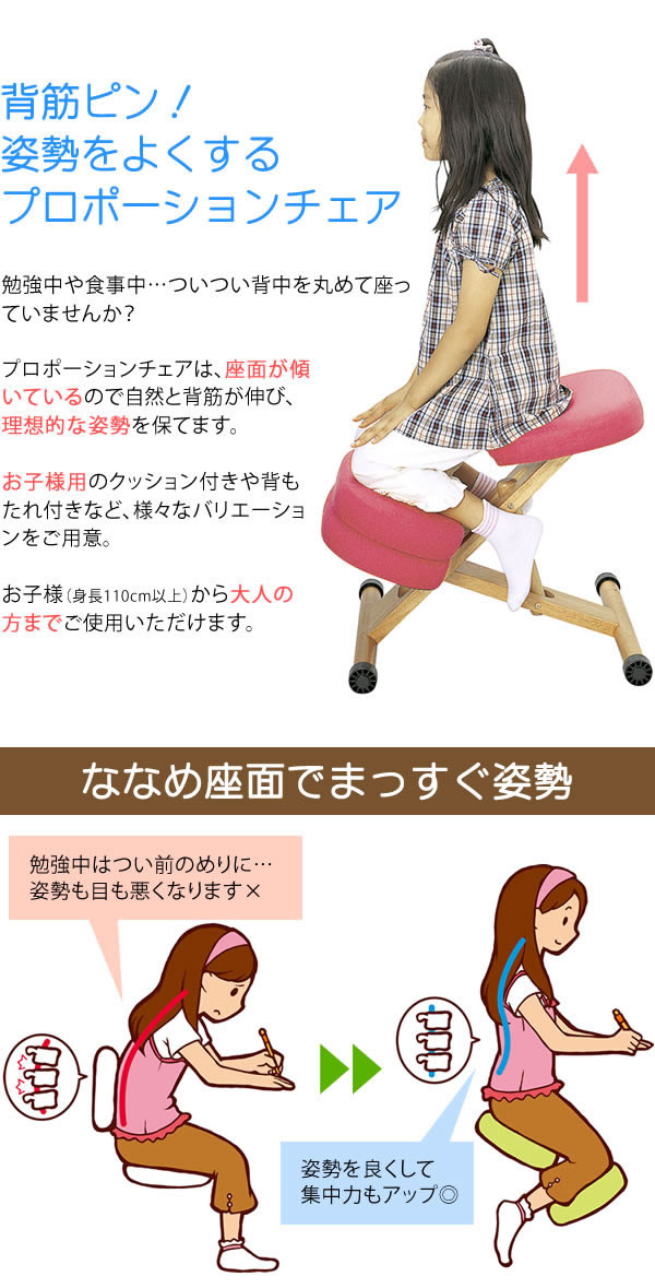 Chair Support Cushion Import Japanese Products At Wholesale Prices Super Delivery