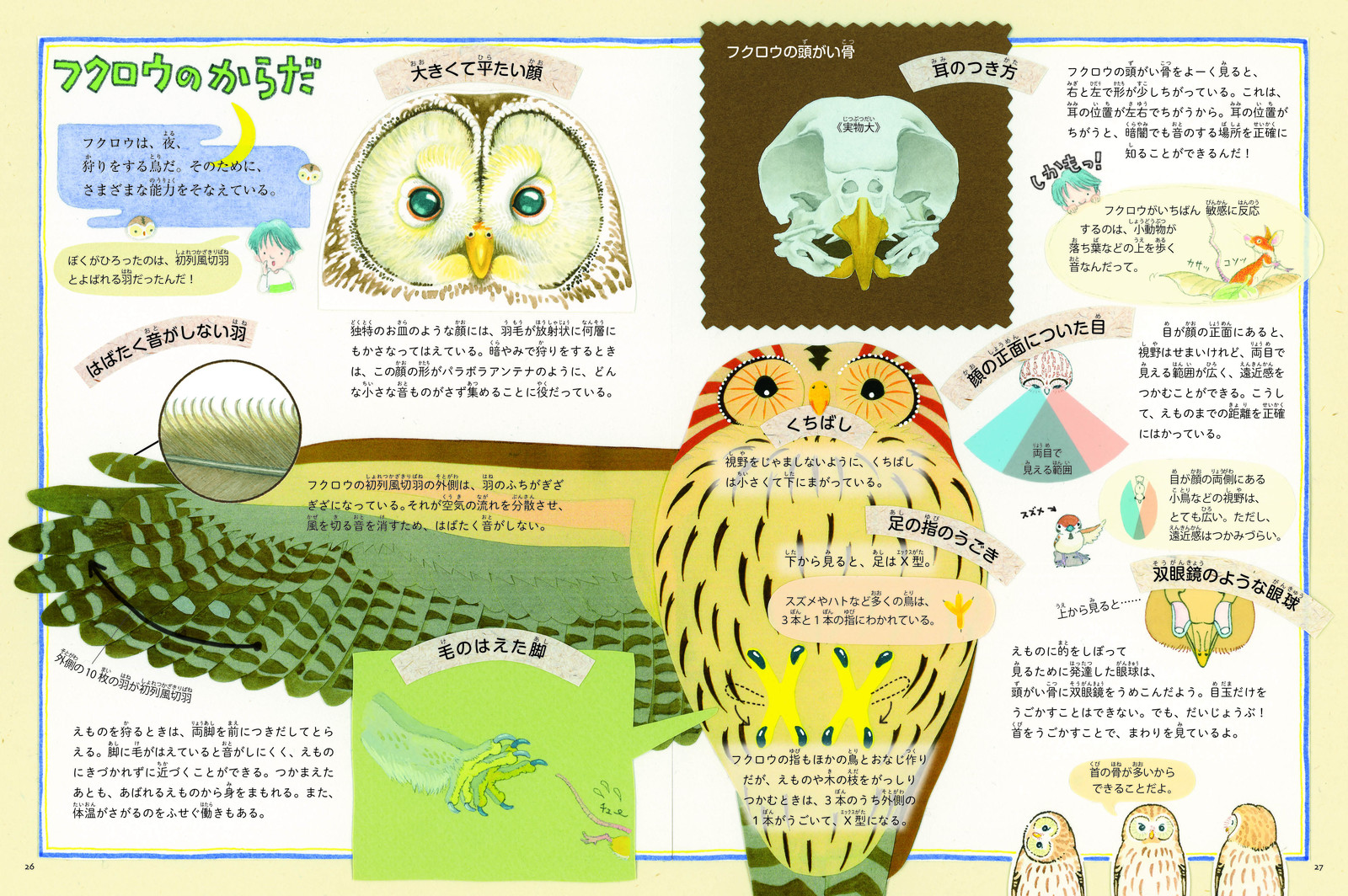 ぼくはフクロウを飼っているの商品ページ 卸 仕入れサイト スーパーデリバリー ぼくはフクロウを飼っているの商品ページ 卸 仕入れサイト スーパーデリバリー