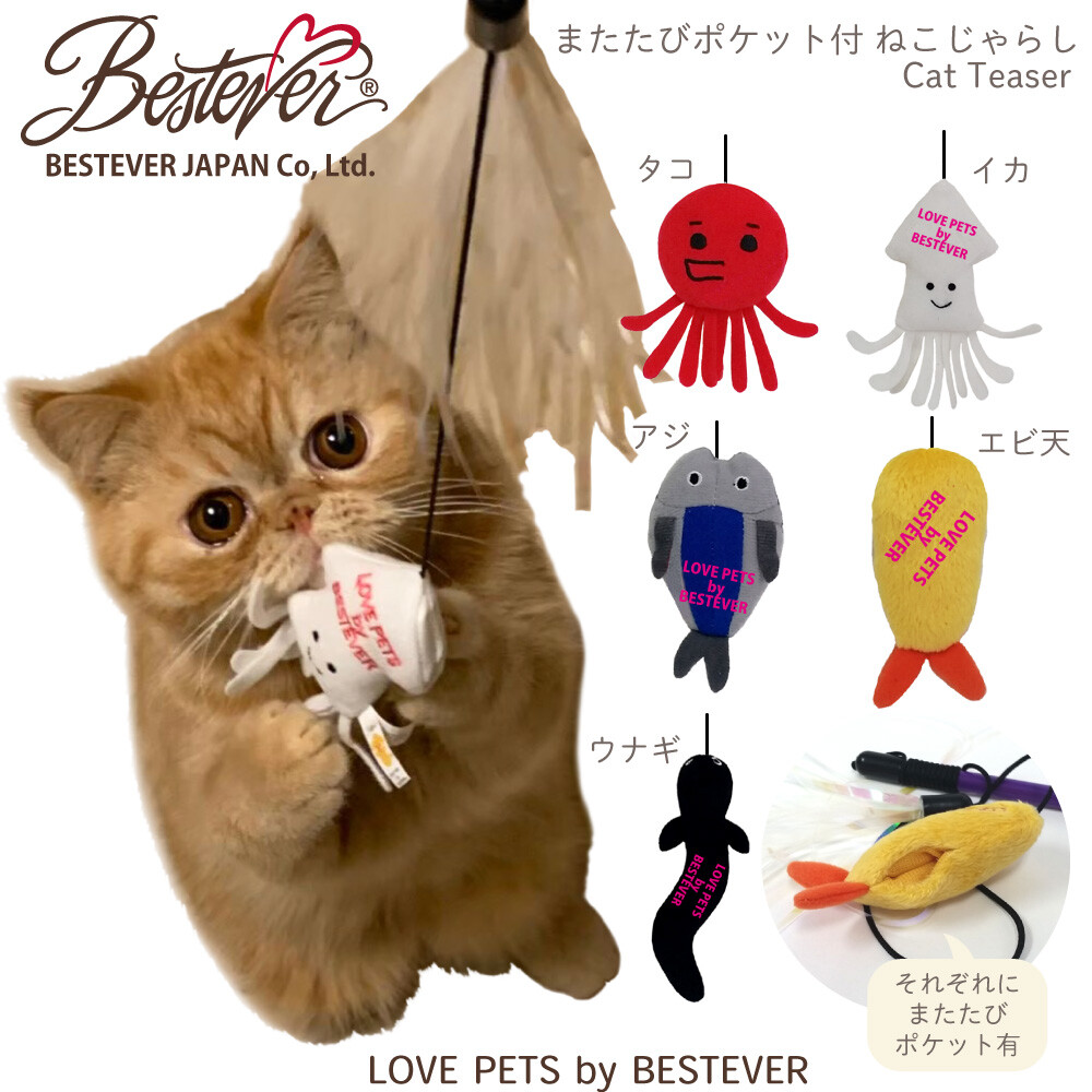 for Toy Cat Cat Toy Cat | Import Japanese products at wholesale prices - DELIVERY
