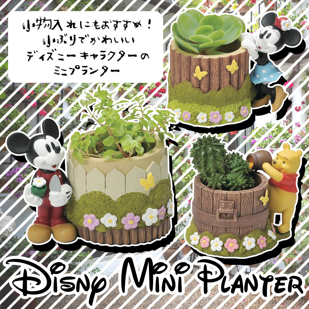 ディズニー ミニチュアガーデン ミニプランター 園芸 ガーデニングの商品ページ 卸 仕入れサイト スーパーデリバリー
