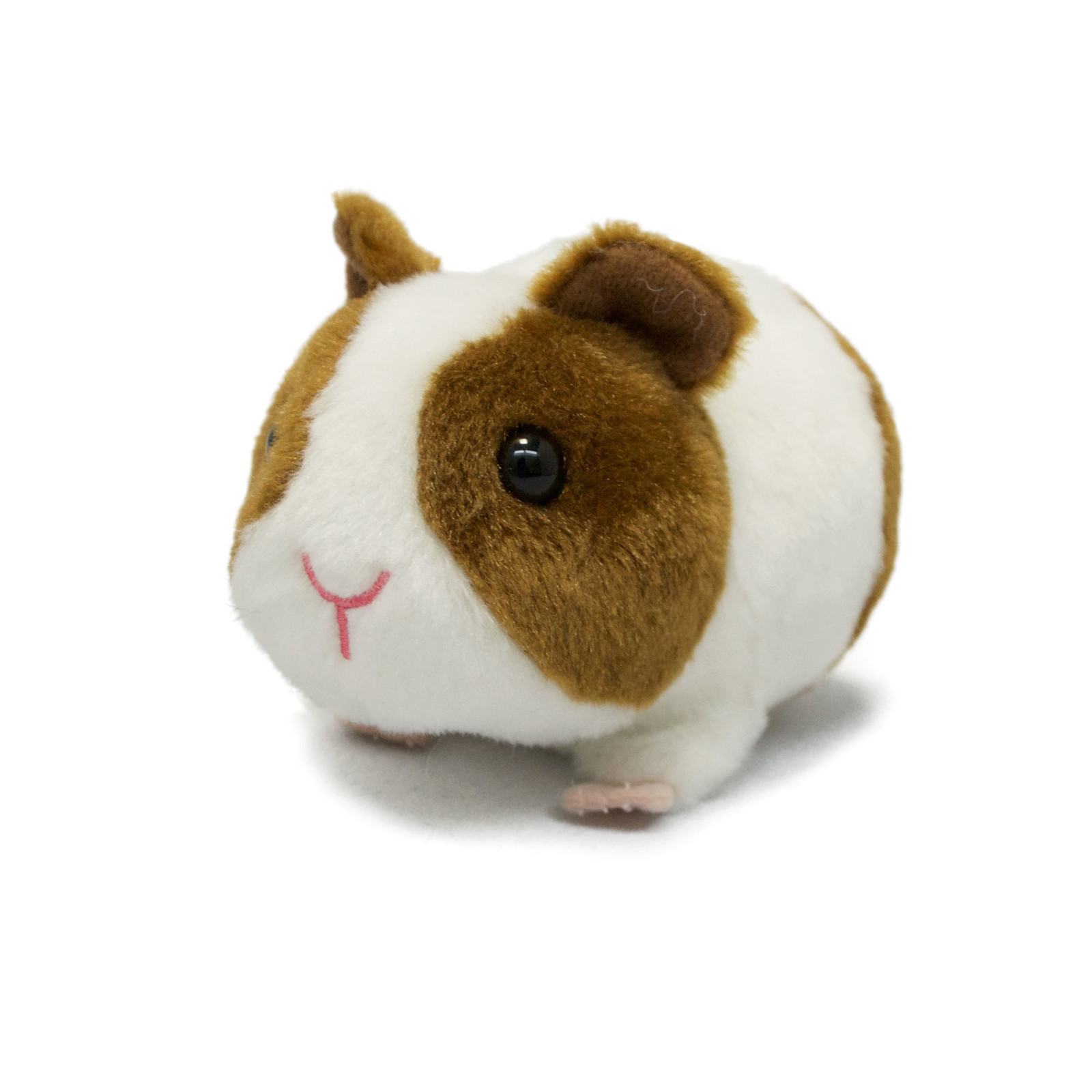 soft guinea pig