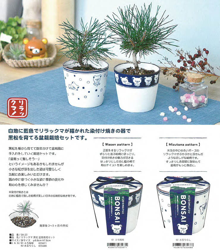 リラックマ 黒松 盆栽栽培セットの商品ページ 卸 仕入れサイト スーパーデリバリー