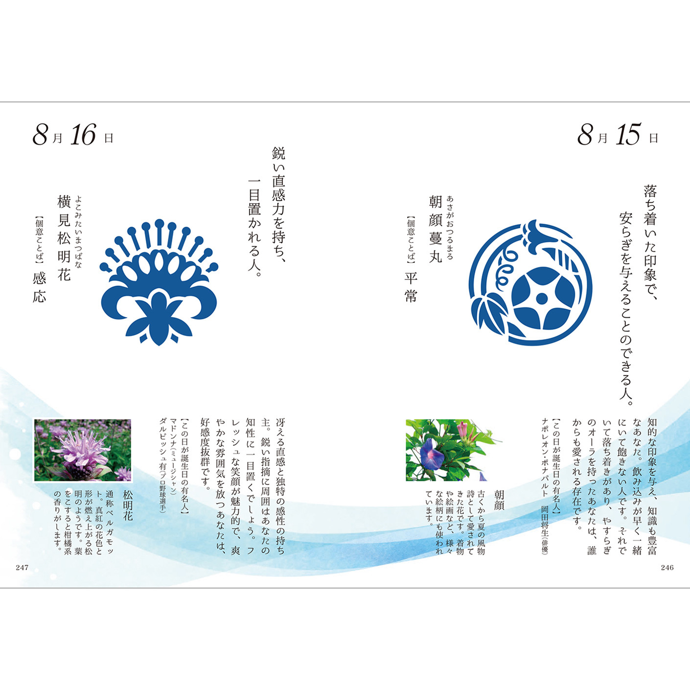 Art Design Book Import Japanese Products At Wholesale Prices Super Delivery Art Design Book Import Japanese Products At Wholesale Prices Super Delivery