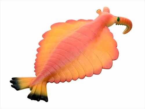 Animals Fp 303 Anomalocaris Plastic Model Collectibles Animals Fp 303 Anomalocaris Plastic Model Collectibles