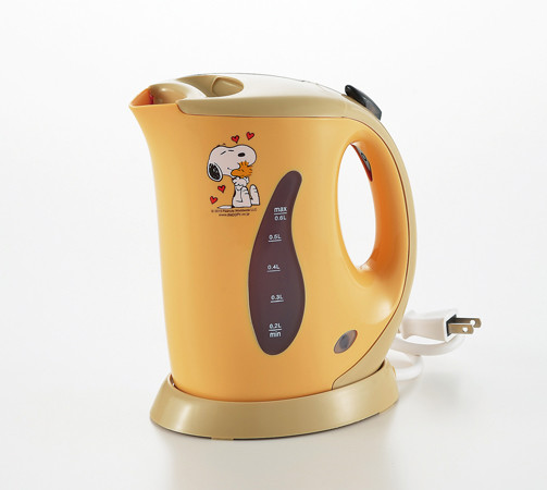 personal electric kettle