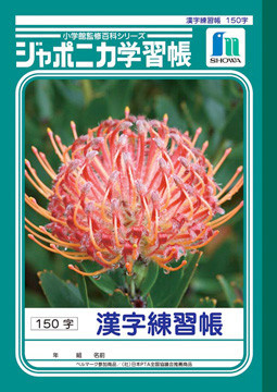 Showa Note Study Handbook Chinese Characters Exercise Book Import Japanese Products At Wholesale Prices Super Delivery