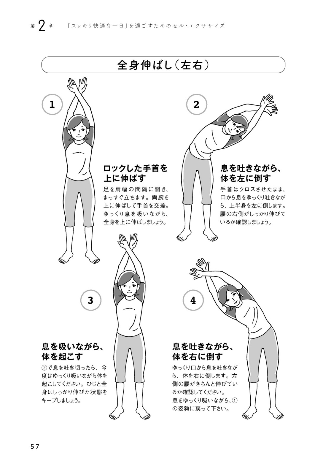 自律神経を整える 1日30秒 トレーニング 人生が楽になるセル エクササイズの商品ページ 卸 仕入れサイト スーパーデリバリー