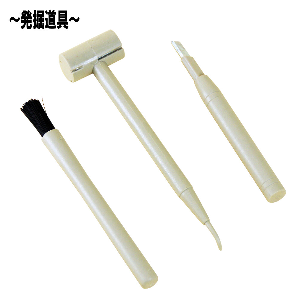 Dinosaur 5 Types For Home Use Import Japanese Products At Wholesale Prices Super Delivery Dinosaur 5 Types For Home Use Import Japanese Products At Wholesale Prices Super Delivery