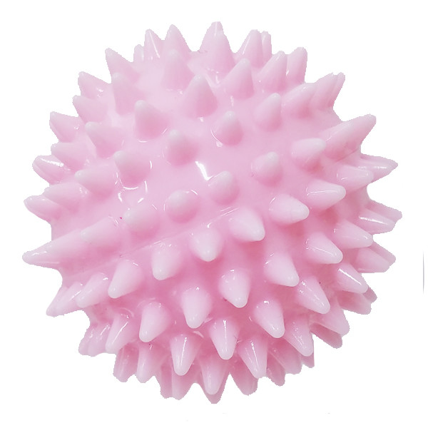 spiky dog ball