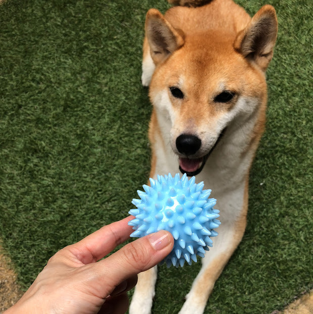 犬用ゴム製おもちゃ Tpr ボール ピンク Love Pets By Bestever 音が鳴る の商品ページ 卸 仕入れサイト スーパーデリバリー 犬用ゴム製おもちゃ Tpr ボール ピンク Love Pets By Bestever 音が鳴る の商品ページ 卸 仕入れサイト スーパーデリバリー