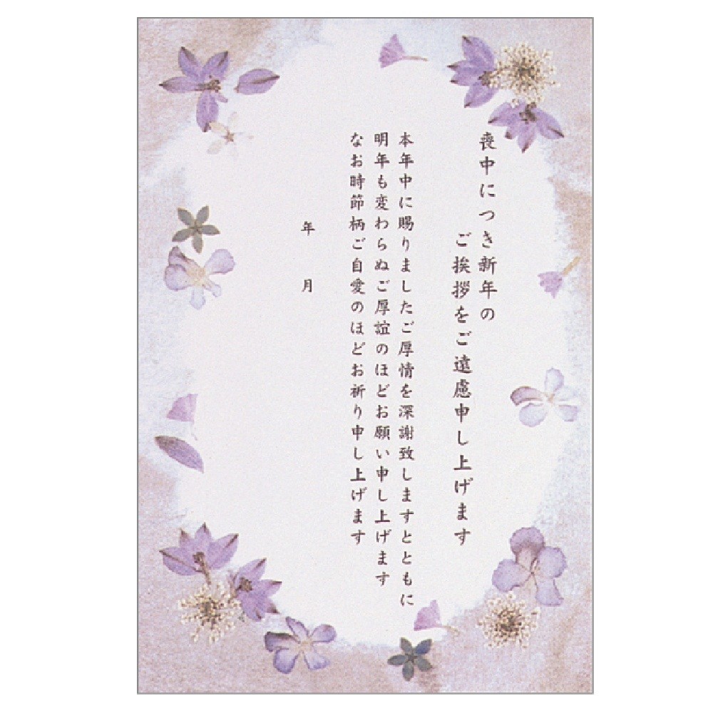 Postcard 6 Pcs Pressed Flowers Import Japanese Products At Wholesale Prices Super Delivery Postcard 6 Pcs Pressed Flowers Import Japanese Products At Wholesale Prices Super Delivery