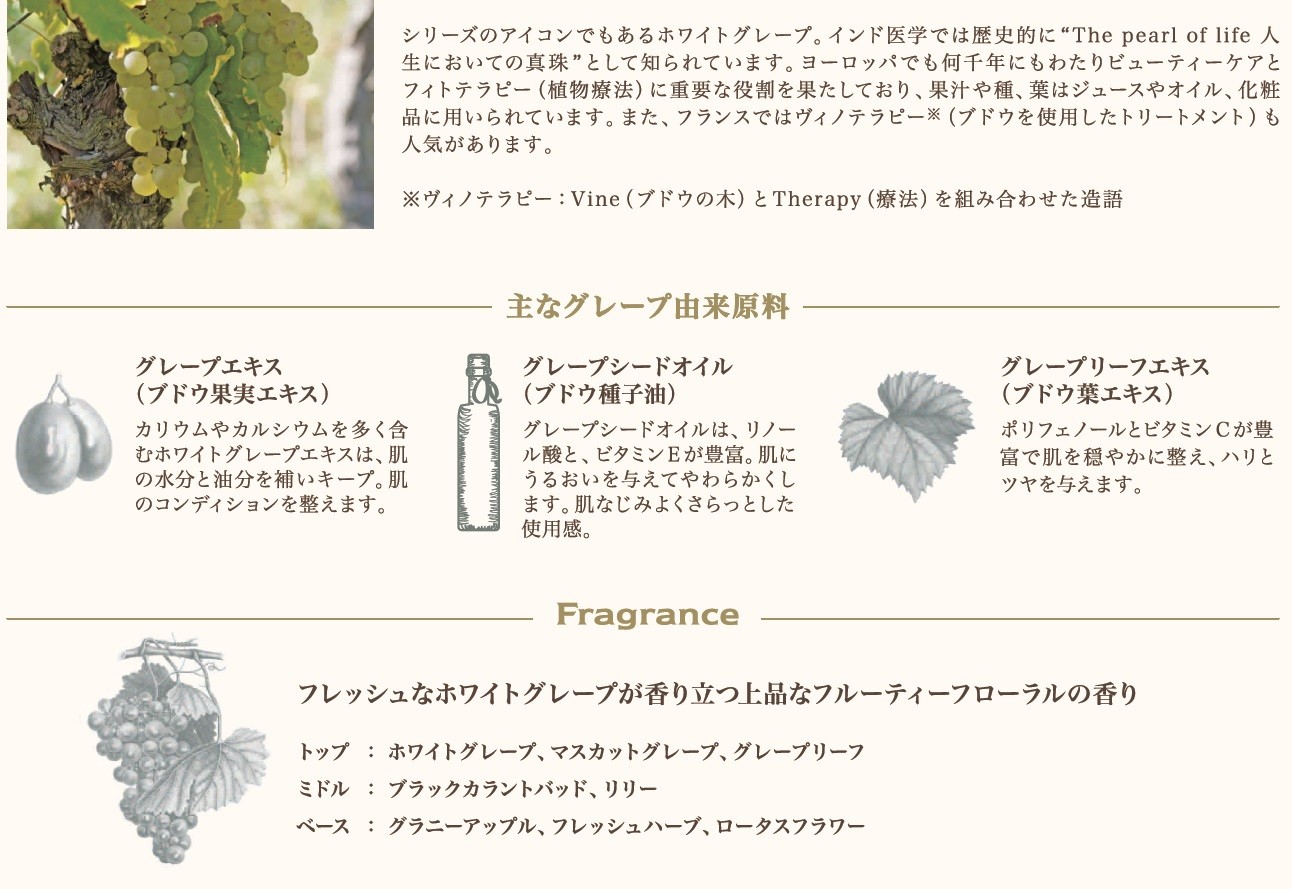 Panier Des Sens パニエデサンス Renewing Grapeハンドクリーム ソープの商品ページ 卸 仕入れサイト スーパーデリバリー Panier Des Sens パニエデサンス Renewing Grapeハンドクリーム ソープの商品ページ 卸 仕入れサイト スーパーデリバリー