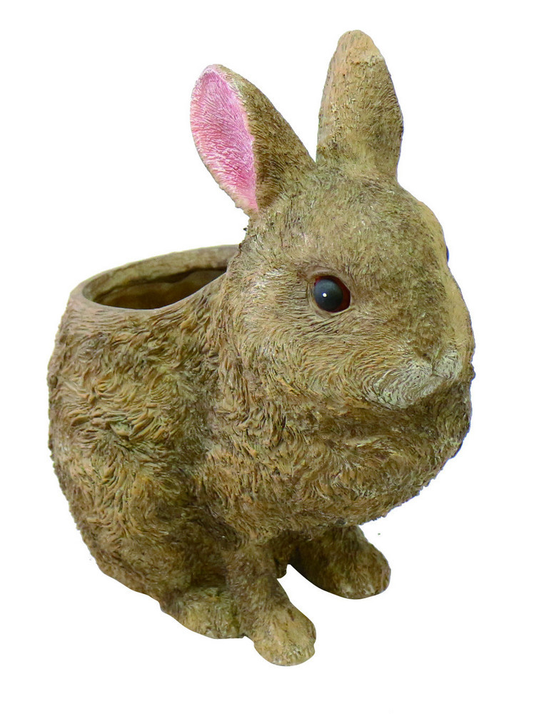 Rabbit Base Import Japanese Products At Wholesale Prices Super Delivery