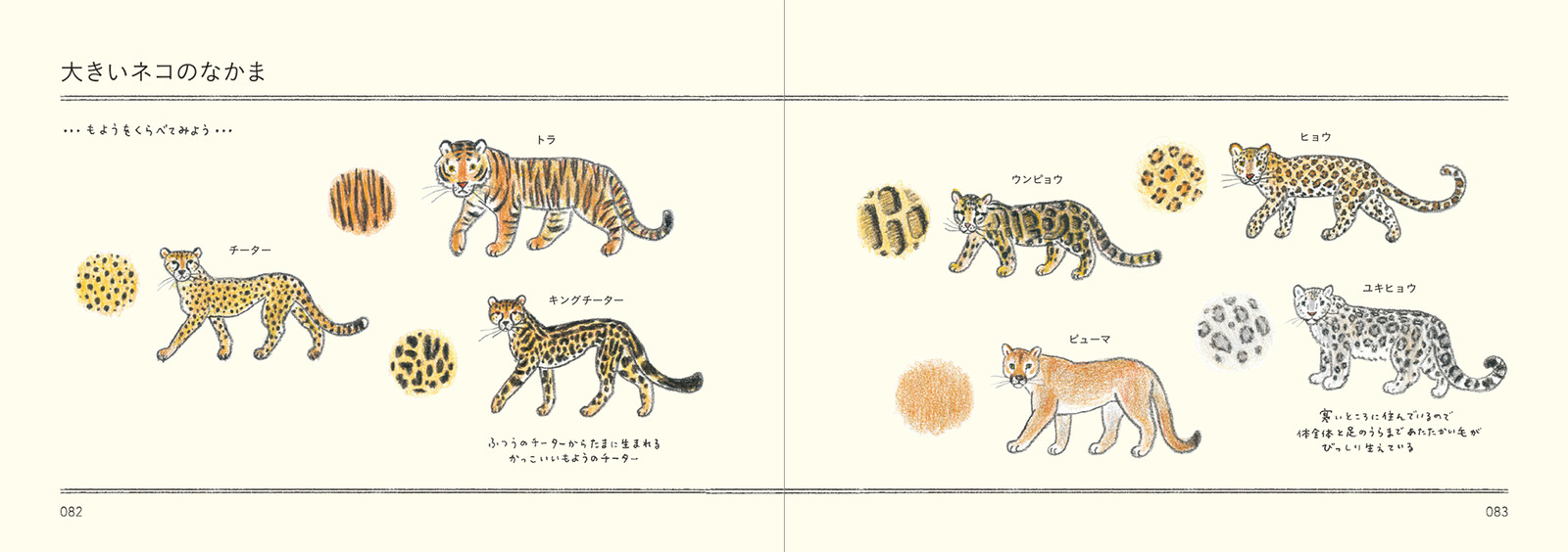 どうぶつのかたち練習帖の商品ページ 卸 仕入れサイト スーパーデリバリー どうぶつのかたち練習帖の商品ページ 卸 仕入れサイト スーパーデリバリー