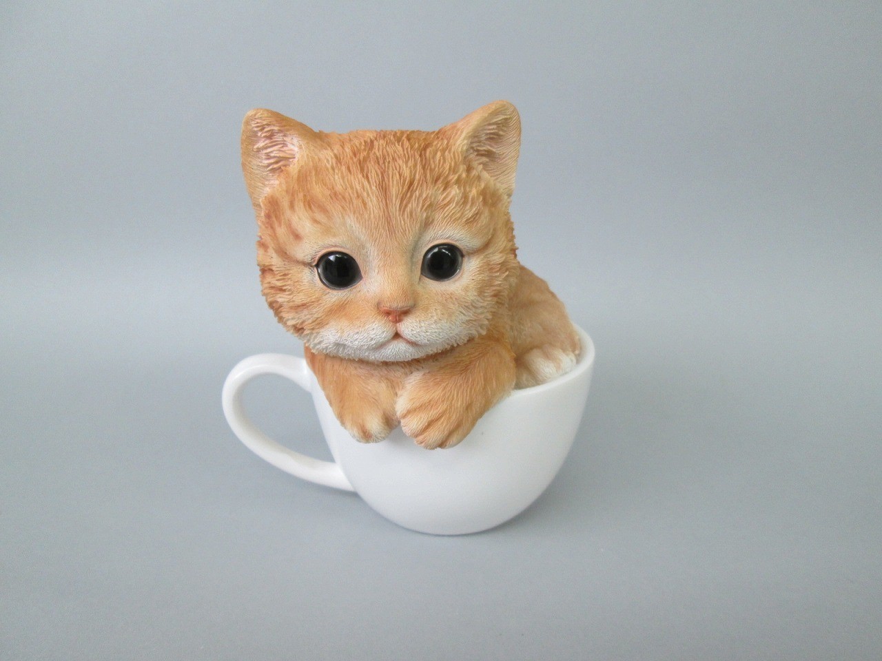 Cup Cat. Cupping Cats.