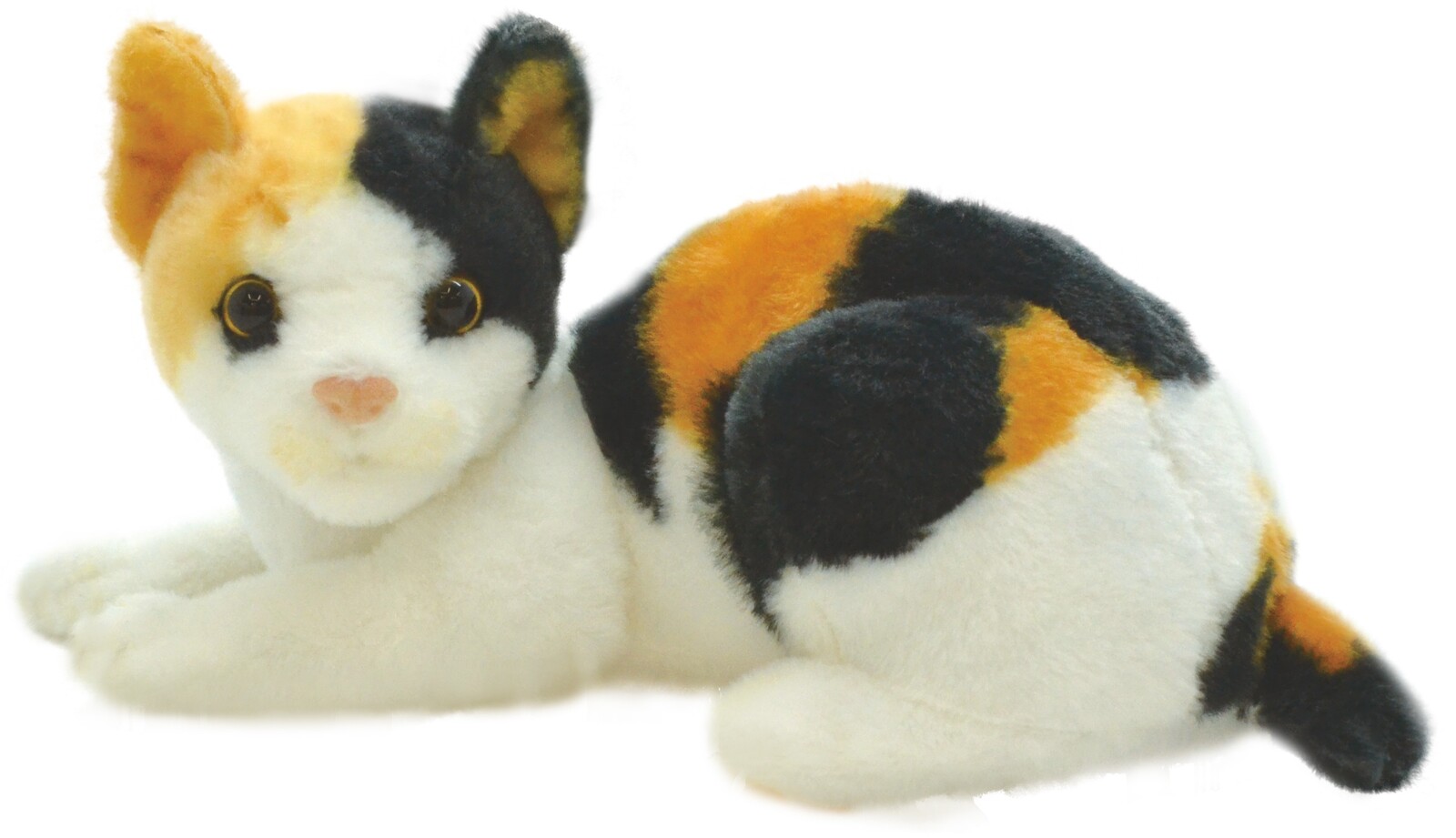 cat teddy