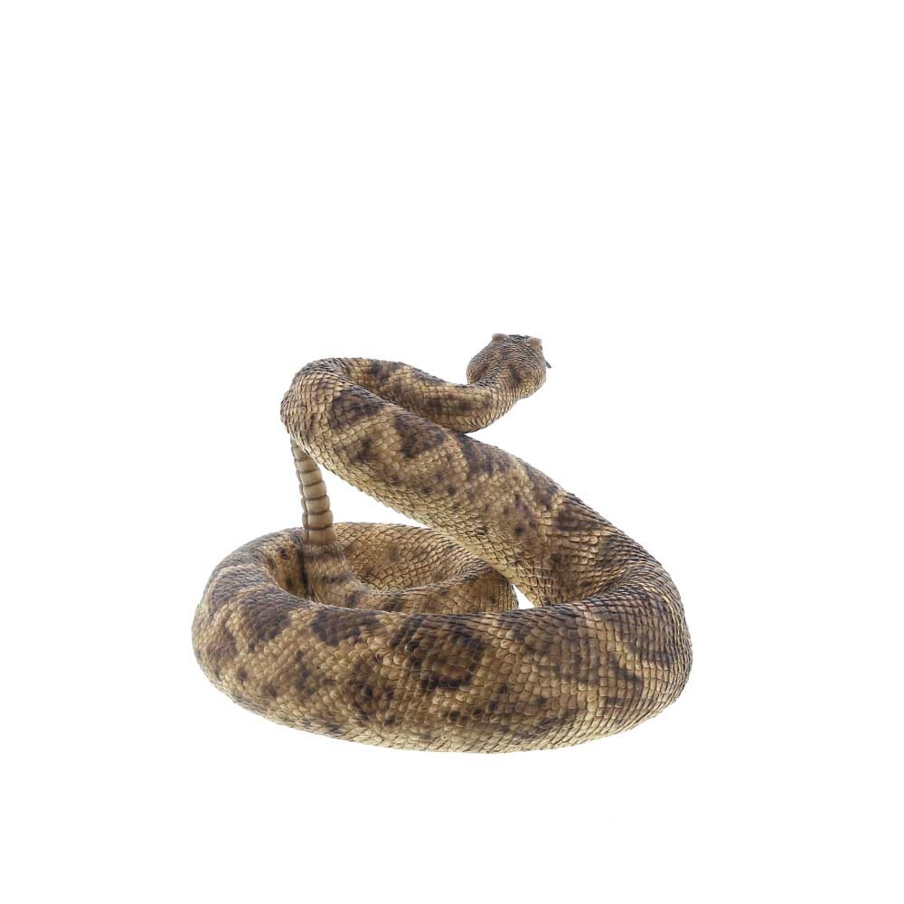 ガラガラヘビの商品ページ 卸 仕入れサイト スーパーデリバリー