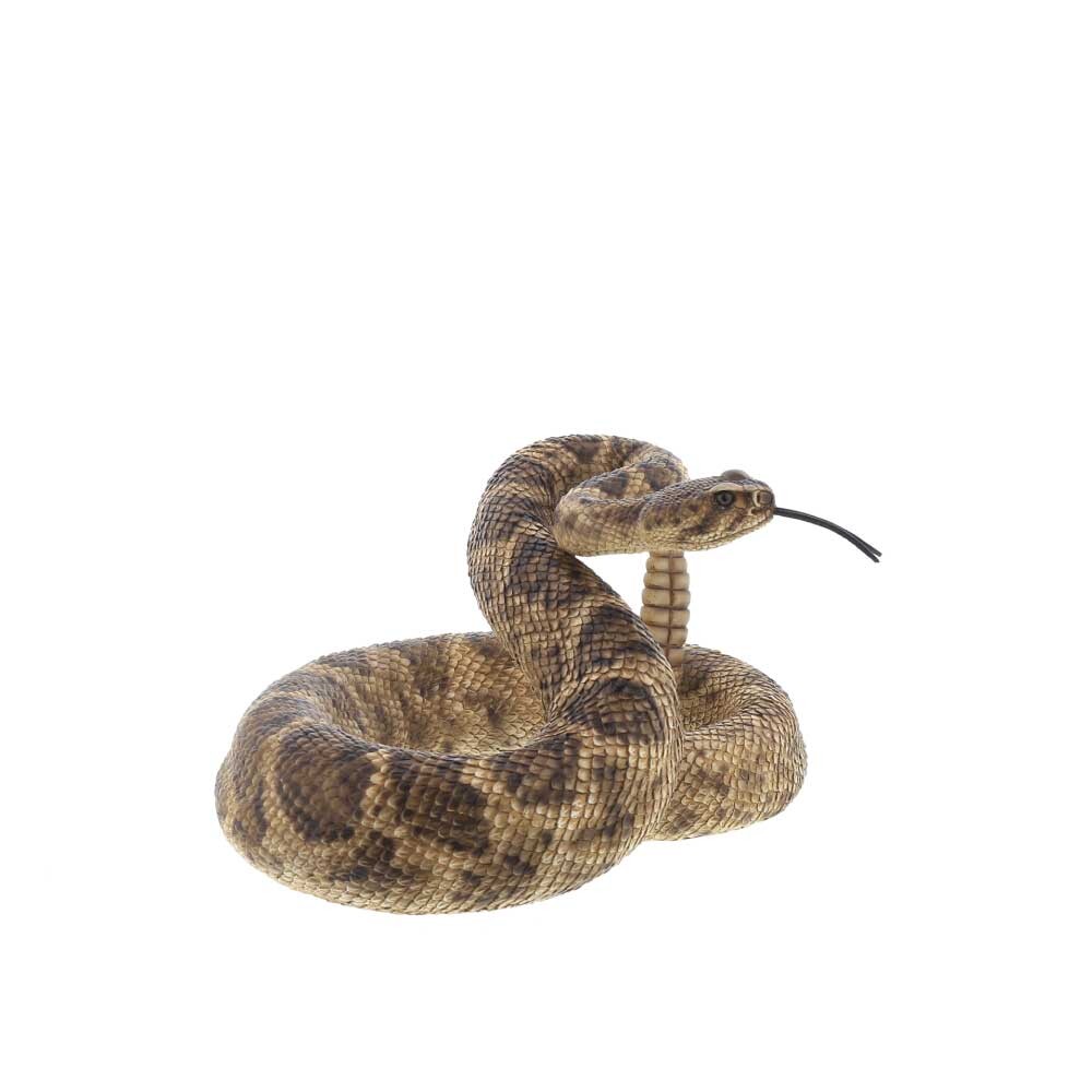 ガラガラヘビの商品ページ 卸 仕入れサイト スーパーデリバリー ガラガラヘビの商品ページ 卸 仕入れサイト スーパーデリバリー