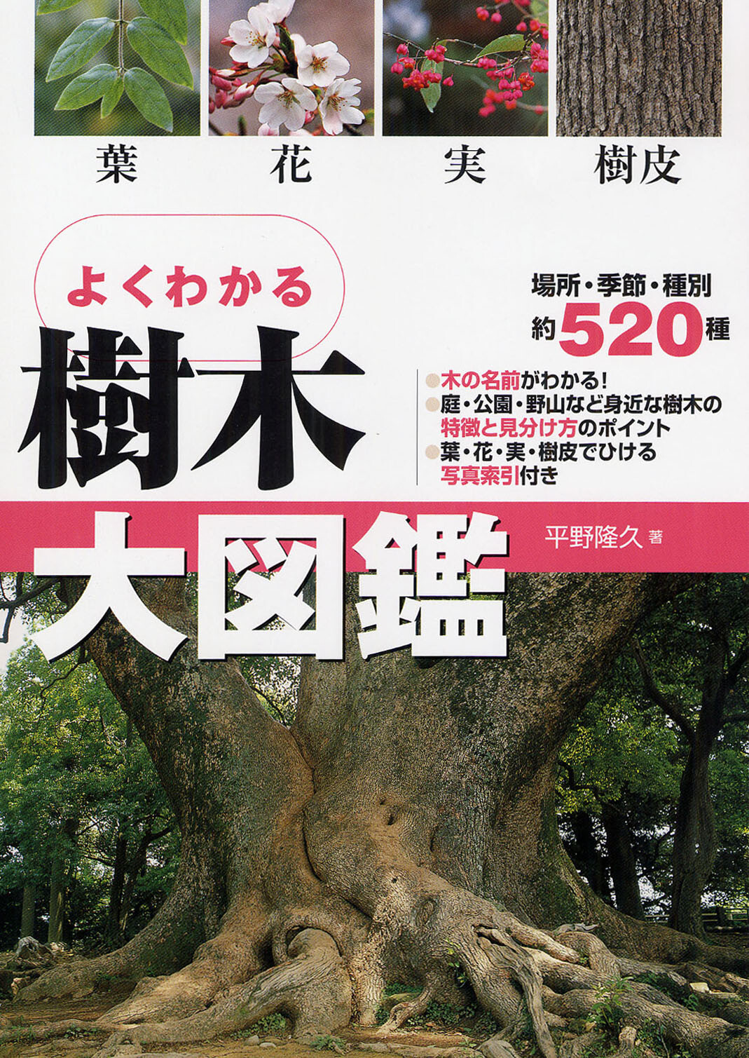 Outdoor Books Import Japanese Products At Wholesale Prices Super Delivery