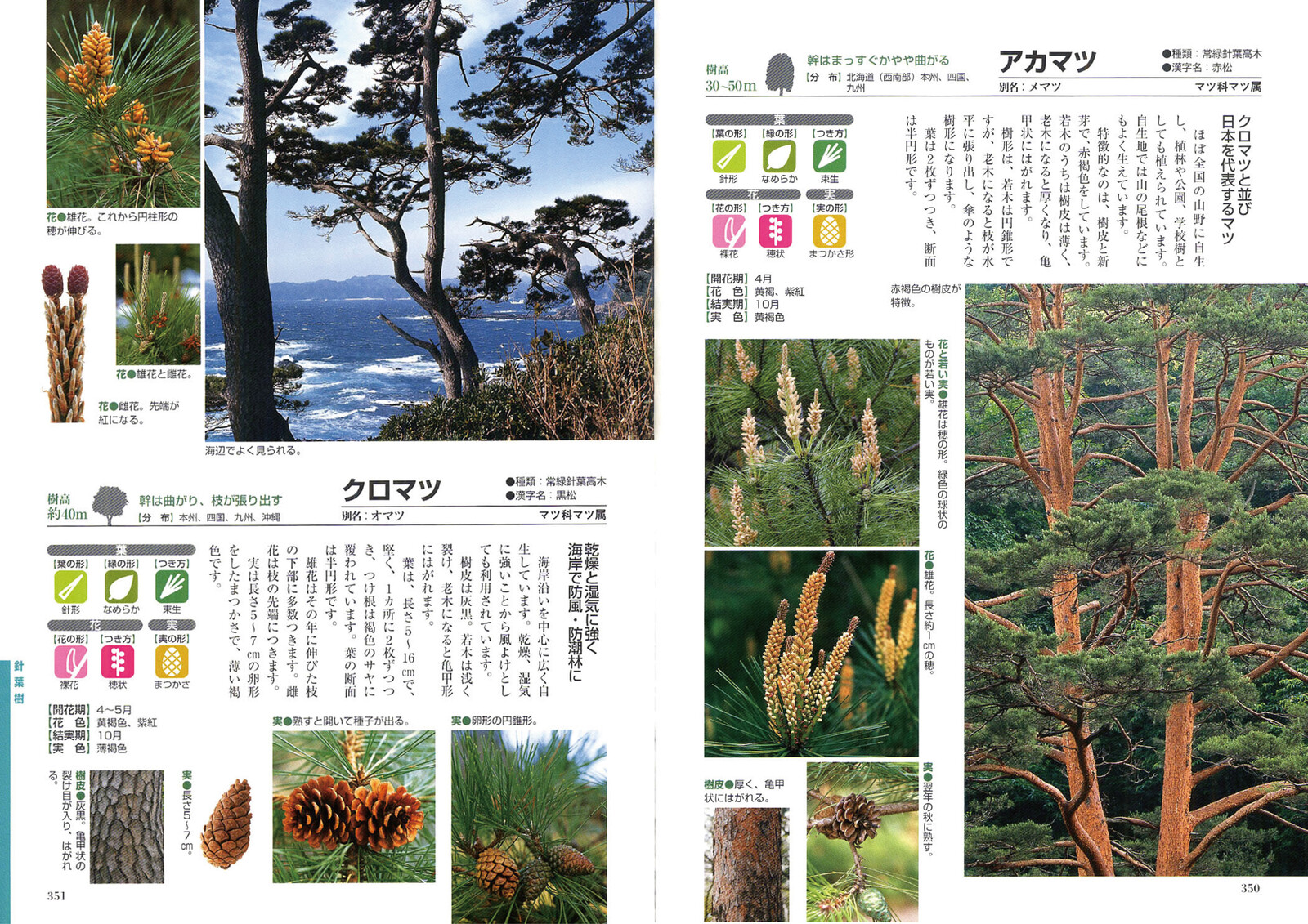 Outdoor Book Import Japanese Products At Wholesale Prices Super Delivery Outdoor Book Import Japanese Products At Wholesale Prices Super Delivery