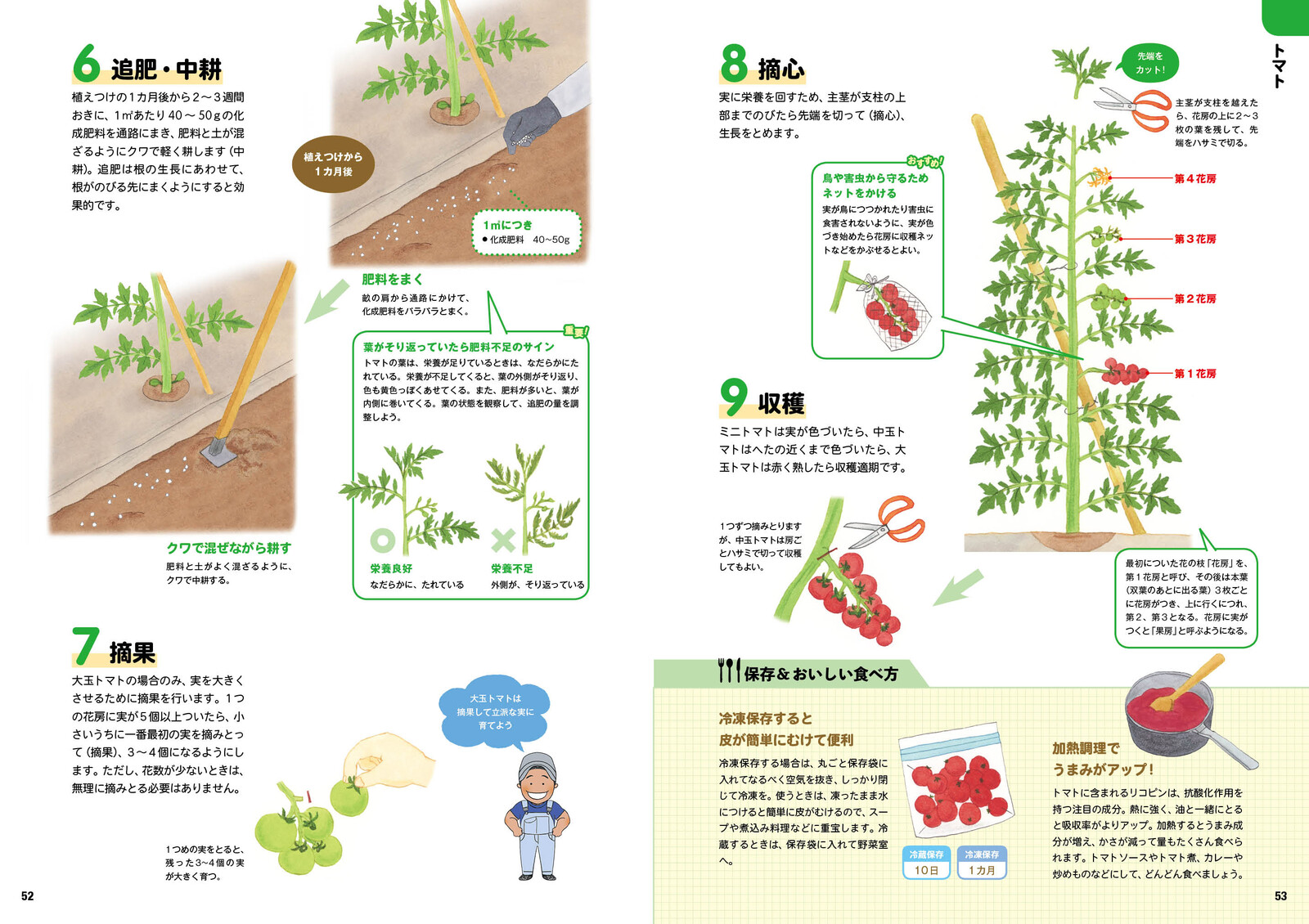 Expert Vegetables Making Import Japanese Products At Wholesale Prices Super Delivery Expert Vegetables Making Import Japanese Products At Wholesale Prices Super Delivery