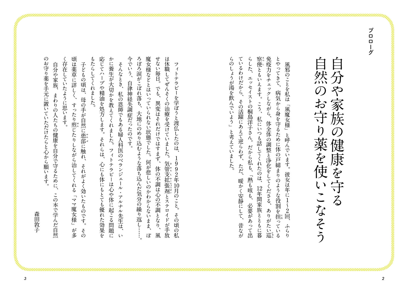 自然のお守り薬の商品ページ 卸 仕入れサイト スーパーデリバリー
