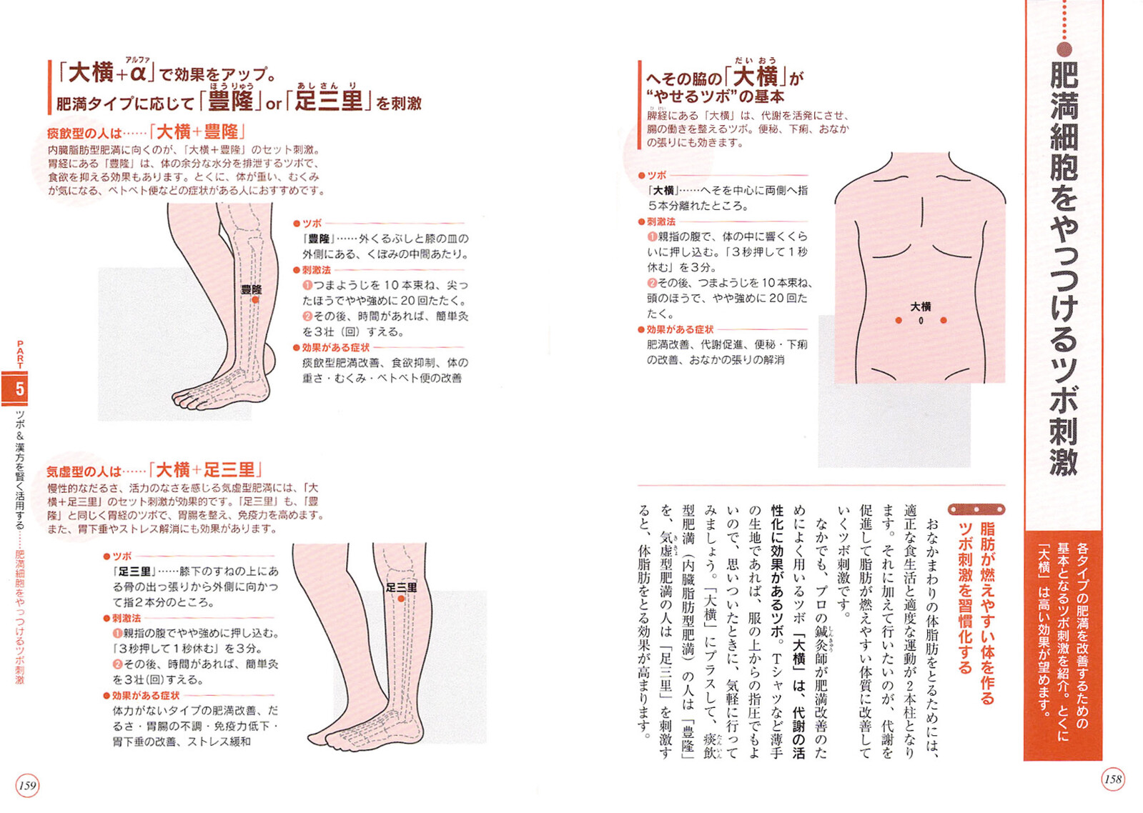内臓脂肪をとって すっきりおなかを凹ませるコツがわかる本の商品ページ 卸 仕入れサイト スーパーデリバリー 内臓脂肪をとって すっきりおなかを凹ませるコツがわかる本の商品ページ 卸 仕入れサイト スーパーデリバリー