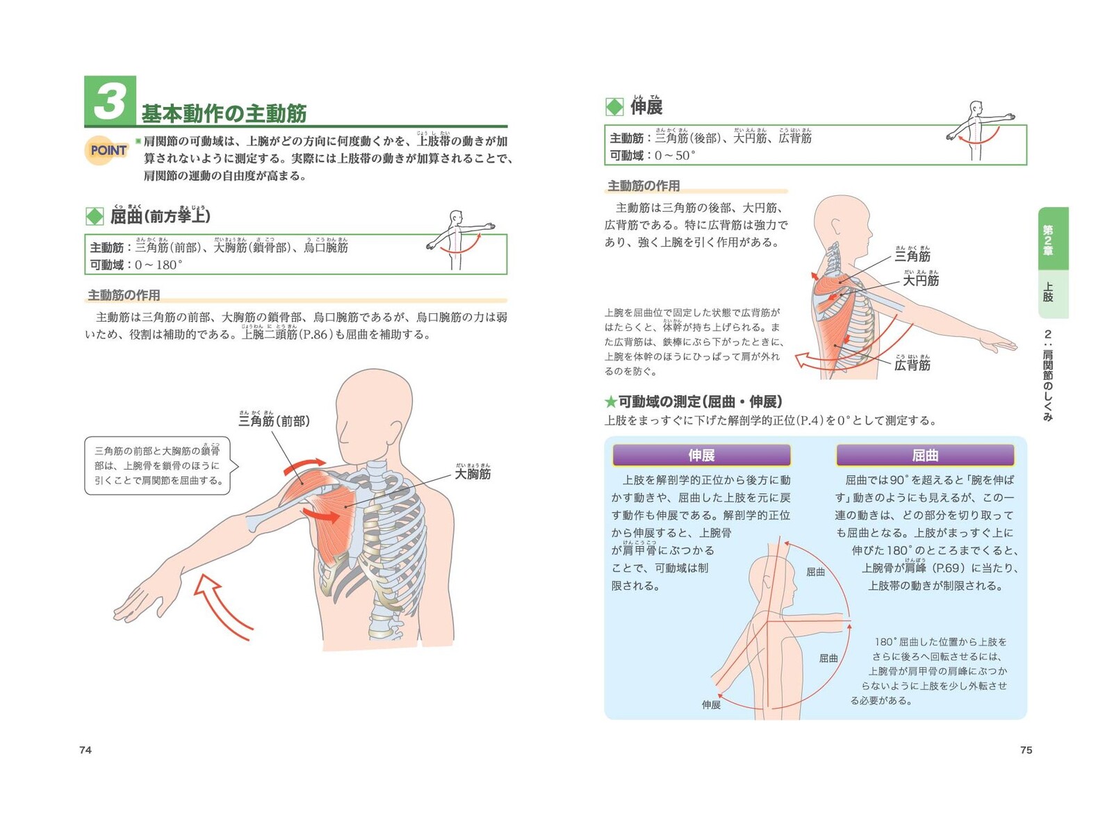 筋肉と関節 しくみと動きが見える事典の商品ページ 卸 仕入れサイト スーパーデリバリー