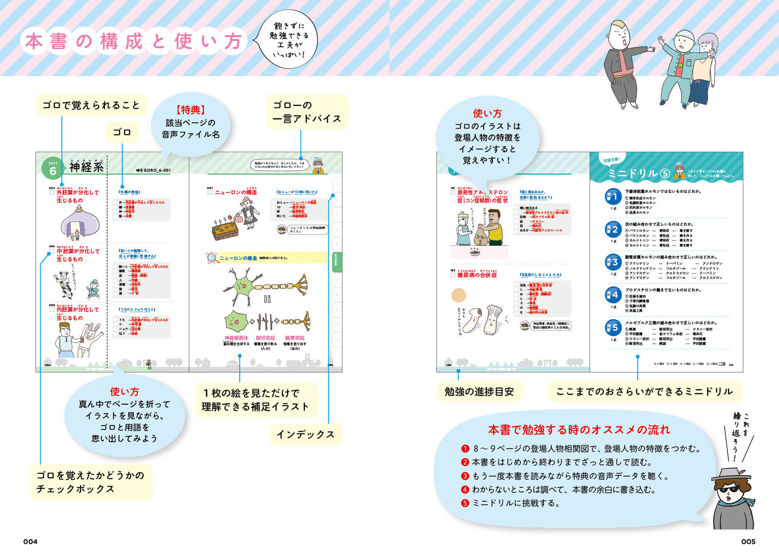 解剖生理学 超速 ゴロ勉の商品ページ 卸 仕入れサイト スーパーデリバリー