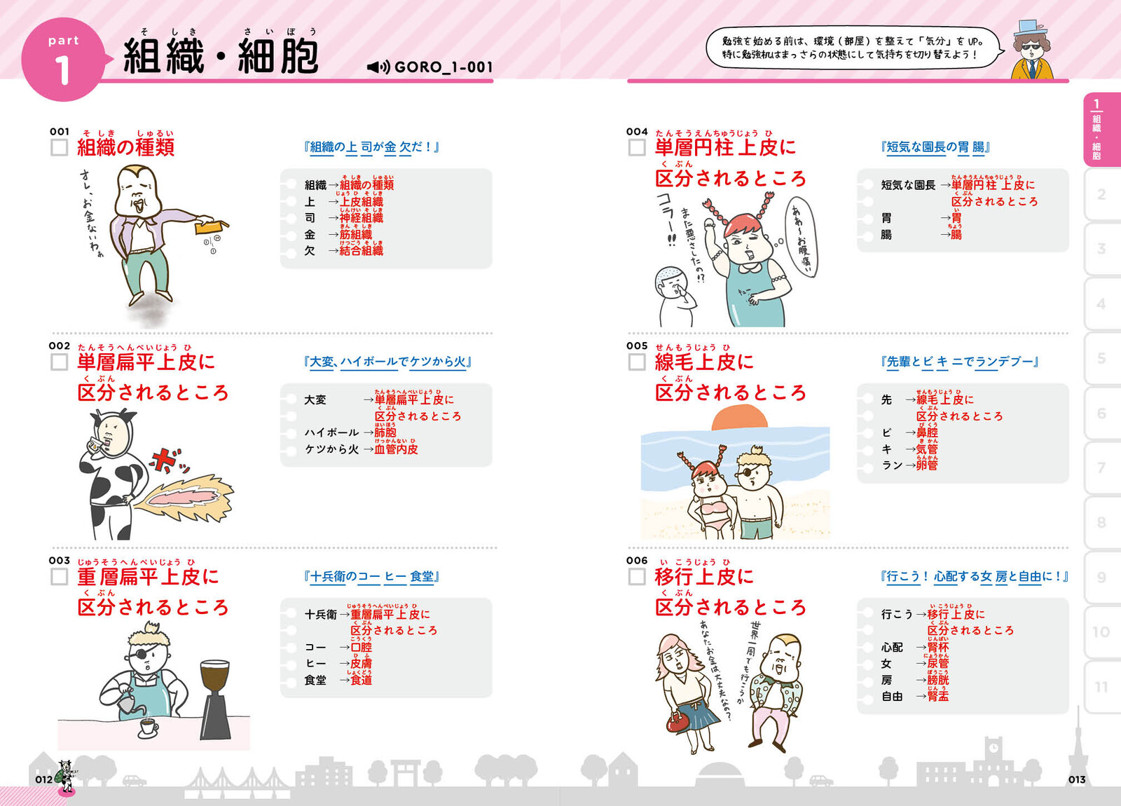 解剖生理学 超速 ゴロ勉の商品ページ 卸 仕入れサイト スーパーデリバリー