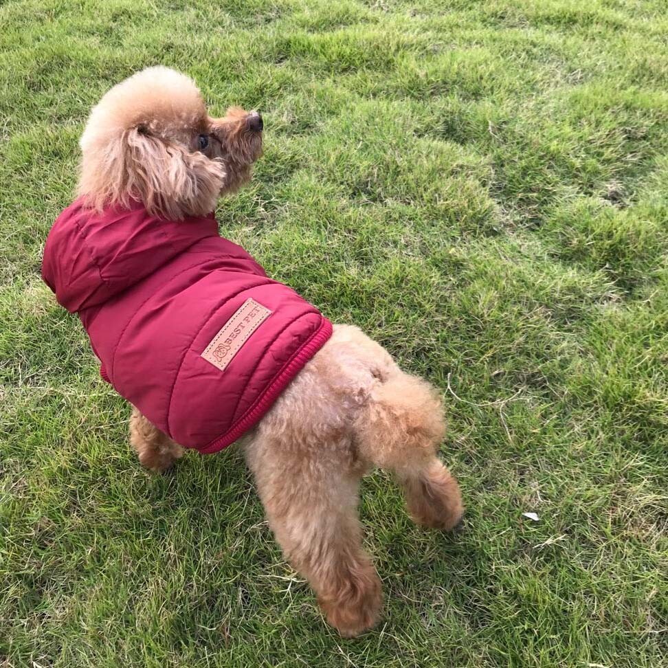 ペット用品 犬服 ダウンベスト ドッグウェア 冬 カワイイ イヌ ネコ ペット服の商品ページ 卸 仕入れサイト スーパーデリバリー ペット用品 犬服 ダウンベスト ドッグウェア 冬 カワイイ イヌ ネコ ペット服の商品ページ 卸 仕入れサイト スーパーデリバリー