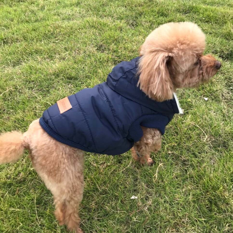 ペット用品 犬服 ダウンベスト ドッグウェア 冬 カワイイ イヌ ネコ ペット服の商品ページ 卸 仕入れサイト スーパーデリバリー ペット用品 犬服 ダウンベスト ドッグウェア 冬 カワイイ イヌ ネコ ペット服の商品ページ 卸 仕入れサイト スーパーデリバリー