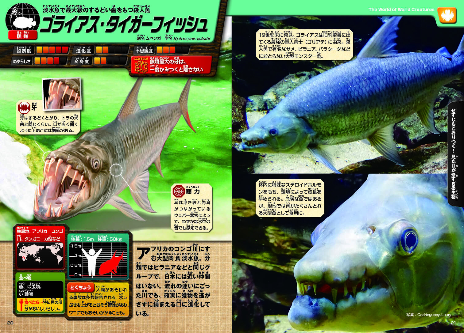 ブキミ生物 絶叫図鑑の商品ページ 卸 仕入れサイト スーパーデリバリー ブキミ生物 絶叫図鑑の商品ページ 卸 仕入れサイト スーパーデリバリー