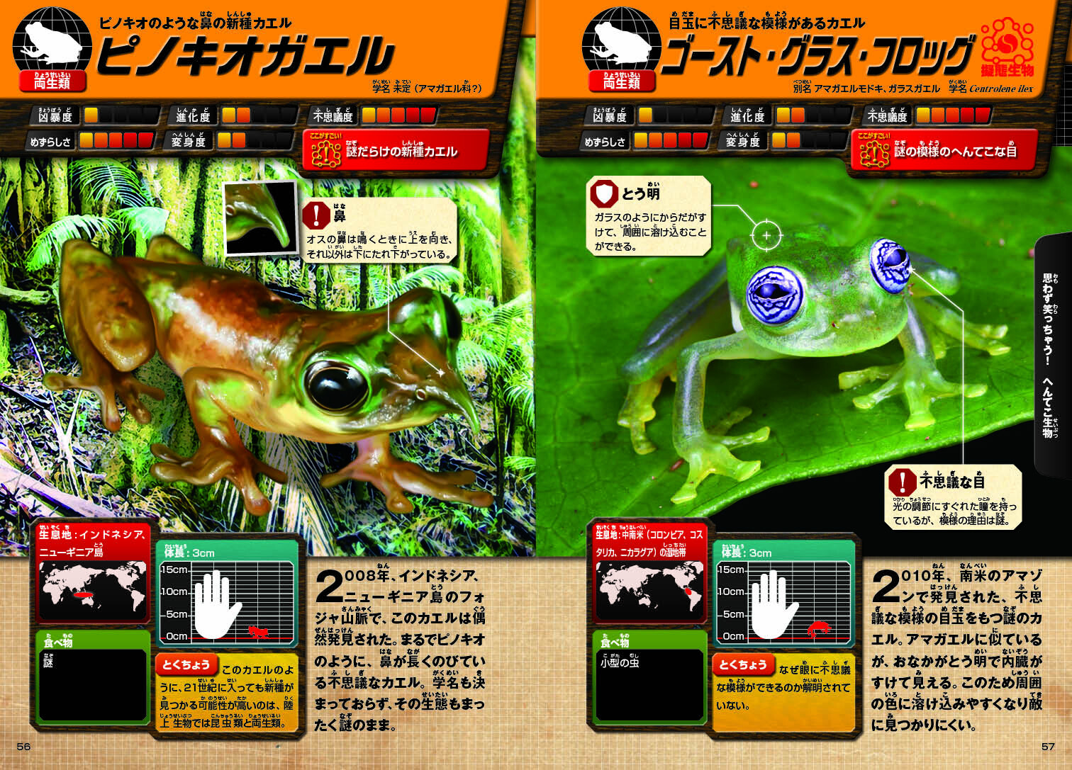 Creatures Import Japanese Products At Wholesale Prices Super Delivery Creatures Import Japanese Products At Wholesale Prices Super Delivery