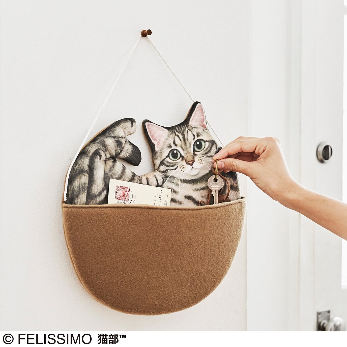 cat wall accessories