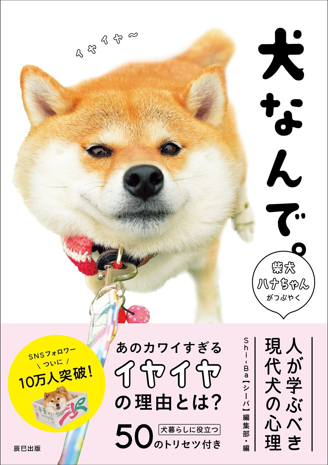 犬なんで の商品ページ 卸 仕入れサイト スーパーデリバリー 犬なんで の商品ページ 卸 仕入れサイト スーパーデリバリー
