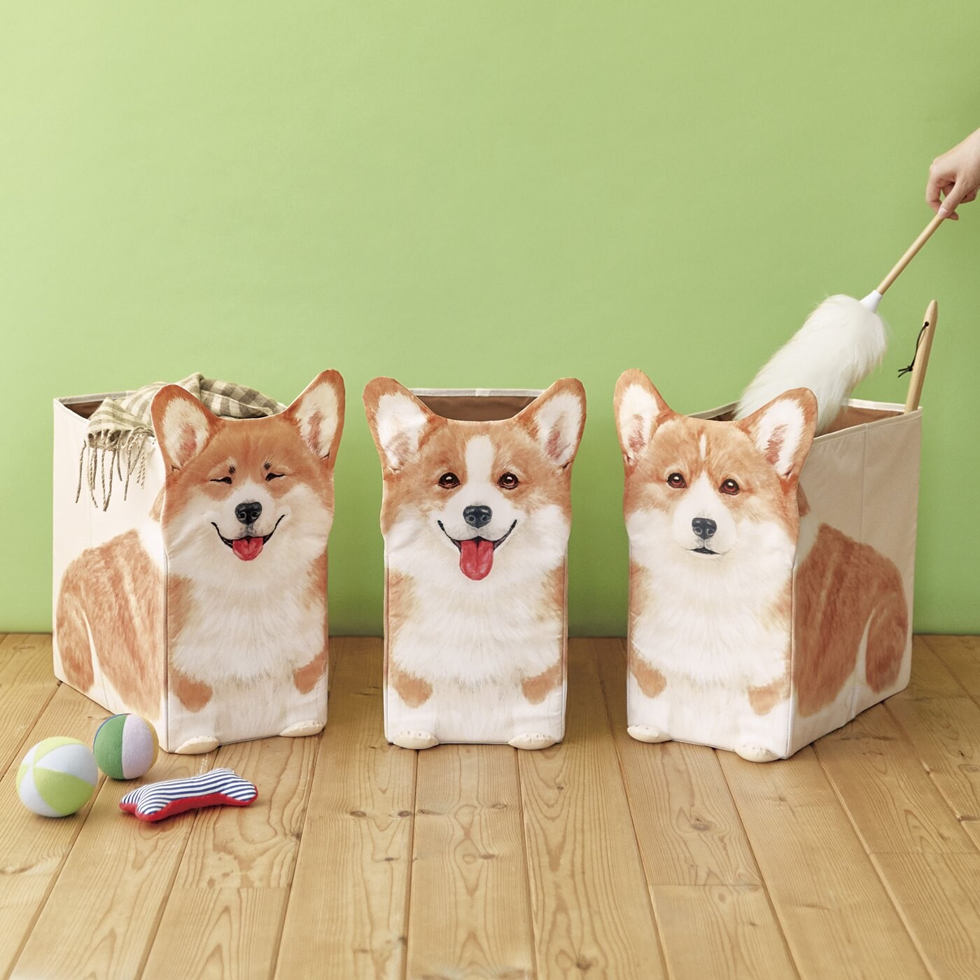 pet box delivery