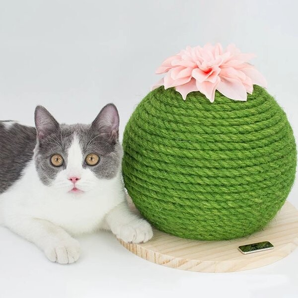 Lamoda インスタで大人気 天然麻 サボテン風 爪とぎ 猫ちゃん用 インテリアにもの商品ページ 卸 仕入れサイト スーパーデリバリー Lamoda インスタで大人気 天然麻 サボテン風 爪とぎ 猫ちゃん用 インテリアにもの商品ページ 卸 仕入れサイト スーパーデリバリー
