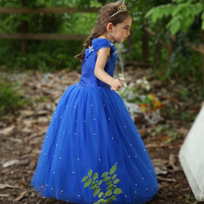princes dress for girl