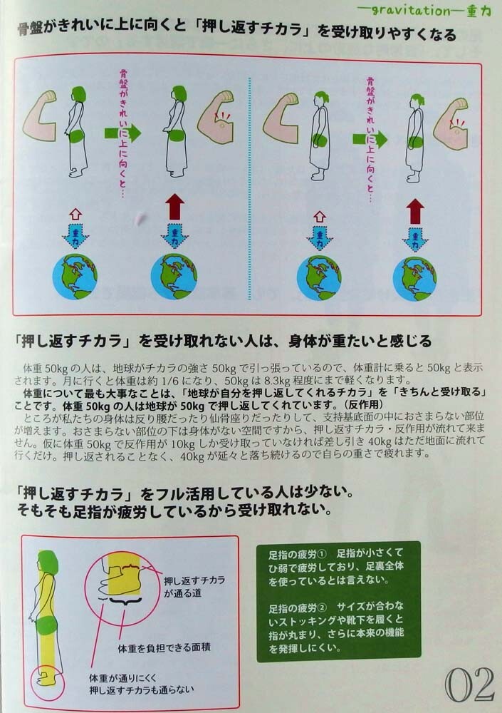Posture Feel Socks Sitting Warp Size M Size L Import Japanese Products At Wholesale Prices Super Delivery