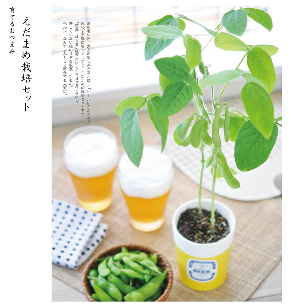 えだまめ栽培セットの商品ページ 卸 仕入れサイト スーパーデリバリー えだまめ栽培セットの商品ページ 卸 仕入れサイト スーパーデリバリー
