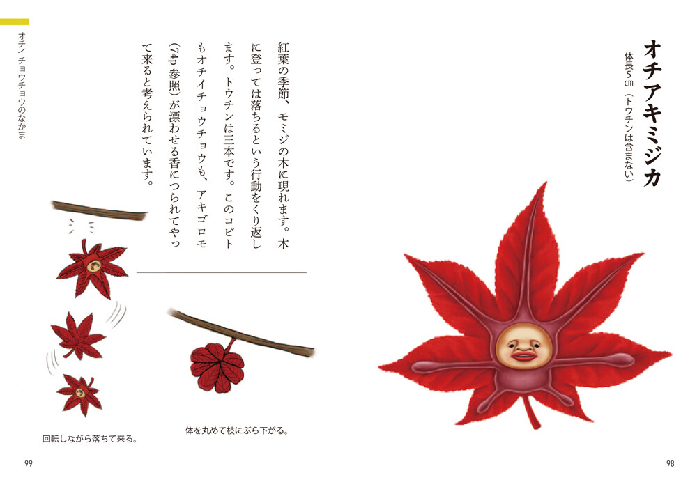 おでかけポケット図鑑 日本のこびと大全 野原や畑編の商品ページ 卸 仕入れサイト スーパーデリバリー