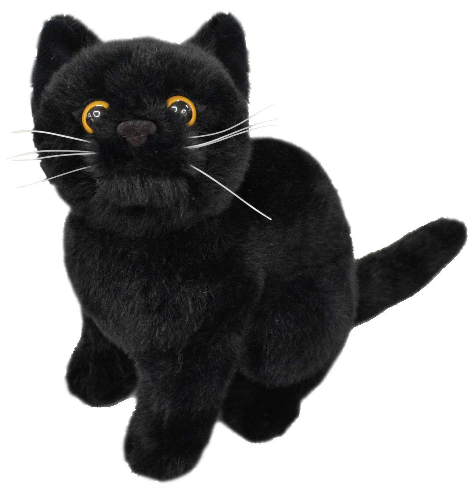 cat teddies