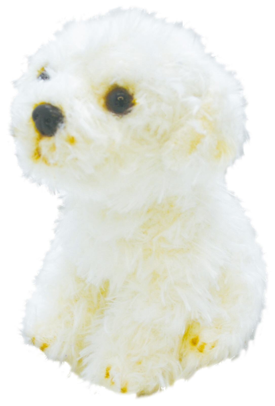 maltese dog toy