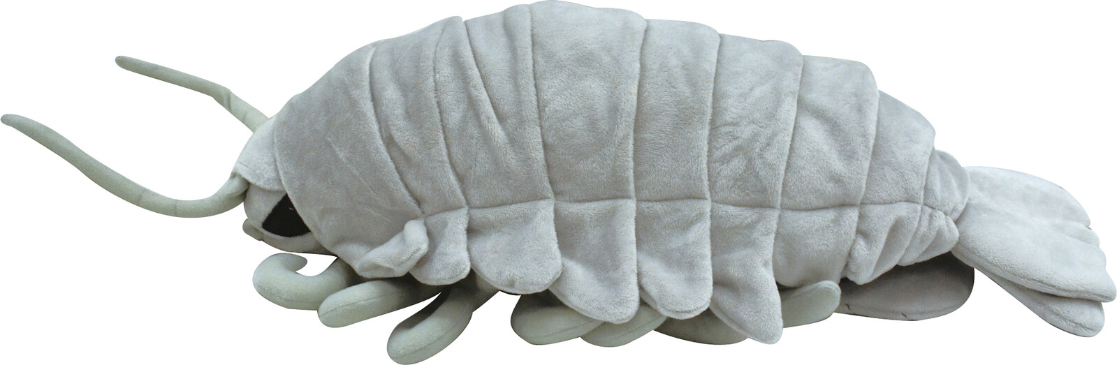 Sea Creatures Bigぬいぐるみ ダイオウグソクムシの商品ページ 卸 仕入れサイト スーパーデリバリー