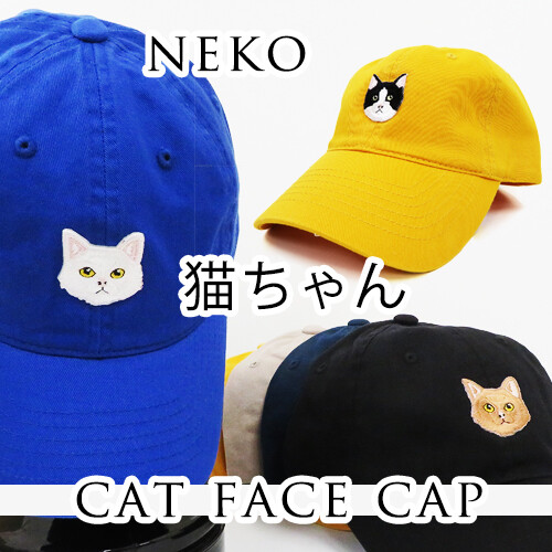 cat in baseball cap